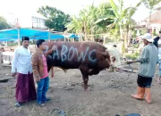 Prabowo Salurkan Puluhan Hewan Qurban ke Ponpes-ponpes dan Ormas Keagamaan di Jawa Barat