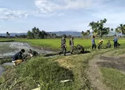 Pos Ramil Ganra Kodim 1423 Soppeng Laksanakan Penanaman Pohon