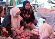 Blusukan,Andi Putri Kumala Sari Dewi Serap Aspirasi Pedagang Pasar Sentral Soppeng 