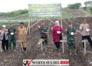 Hadiri Kegiatan Penanaman Cabe dan Bawang Merah, Danrem 141 Toddopuli Ajak Masyarakat Sukseskan Swasembada Pangan