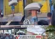 Viral di Medsos Lomba Pikul Jagung Naik Ke Truk