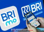 Satu Aplikasi untuk Semua Kebutuhan, BRImo Permudah Transaksi Nasabah