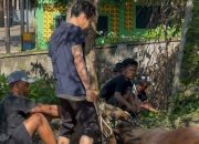 Perdana, Kemenhaj Soppeng Berkurban Dua Ekor Sapi