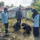 Bikin Baper Pasangan Soppeng Ini Pilih Sedekah Pohon Saat Nikah