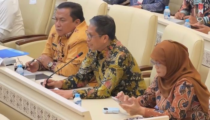 Perjuangkan APBD, Wabup Soppeng Suarakan Gaji PPPK di DPR RI