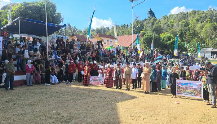 Warna-Warni Karnaval Desa Umpungeng Hipnotis Ratusan Warga