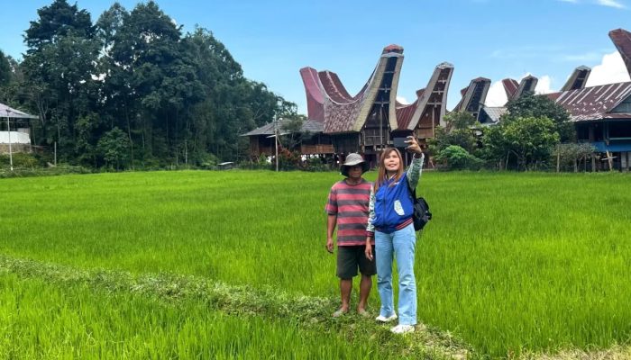 Menembus Medan Terjal Toraja Utara: Kisah Mantri Elce Bawa Nyalakan Asa Ekonomi di Pelosok Negeri