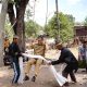 Momen Wabup Soppeng Coba Ayunan Mattojang di Pesta Adat Desa Laringgi