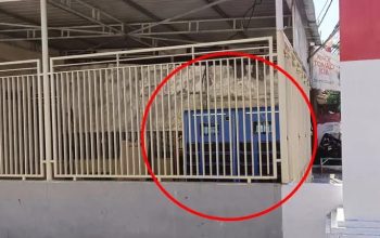 PKSPH Soroti VinFast, Infrastruktur Kendaraan Listrik Jadi Pertanyaan Besar