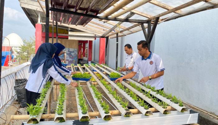 ​Dukung Ketahanan Pangan, Rutan Watansoppeng Pacu Pembinaan Hidroponik Kangkung
